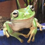 Dianne Cantley - @diannebutterfy13 - Instagram