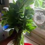 Dianne Caesar - @dclove64 - Instagram