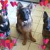 Dianne M Renzoni Caley - Facebook