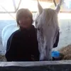 Diane Chapman - @dianechapman07 - TikTok