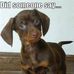 Diann Cherry - Facebook