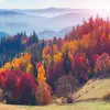 Dianne Cherry - @dianne.cherry - TikTok