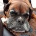Diane Collier - Facebook