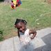 Dianne Gousby Collier - Facebook