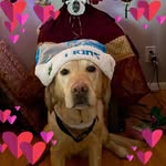 Dianne Combs Daniels - @dianne.d - Instagram