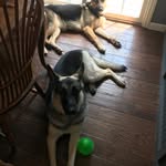 Diane Compton Whitmer - @dwhitmer1005 - Instagram
