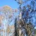 Dianne Compton - Facebook