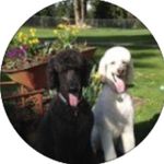 Dianne Dalton - @diannedallton - Instagram