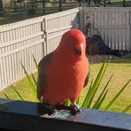 Dianne Day - Facebook