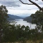 Dianne Doyle - @diannedoyle56 - Instagram