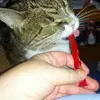 Diane Erickson - @diane.erickson6 - TikTok