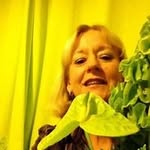 Diane Fair - @fair.diane - Instagram