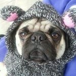 Dianne Fleming - @diannef1970 - Instagram
