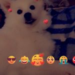 Dianne Fleming - @3mommyseal - Instagram