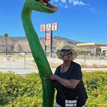 Dianne Gordon - @diannegordon4945 - Instagram