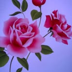 Dianne Gordon - Facebook