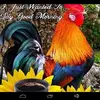DIANNE GORDON - @diannegordon58 - TikTok