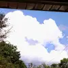 Dianne Graham - @dianne.graham5 - TikTok