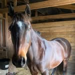 Dianne Gray - @didone001 - Instagram