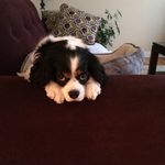 Dianne Gray - @diannegray3 - Instagram