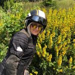 Diane Griffiths - @dianegriffiths64 - Instagram