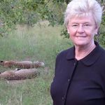 Dianne Griffiths - @dianneg.biw - Instagram