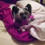 Dianne Grubb - @dianne.grubb - Instagram
