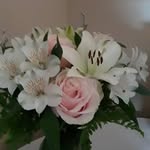 Dianne Hamilton - @dlelandhamilton - Instagram