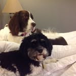 Dianne Hamilton - @dianne_hamilton45 - Instagram