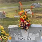 Dianne Haney - @diannehaney15 - Instagram