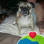 Dianne Harrison - Facebook