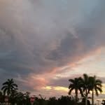 Dianne Harrison - @dianneharrison4178 - Instagram