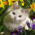 Dianne Harrison - @dianneharrison25 - Instagram