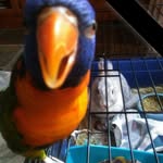 Dianne Harrison - @dianne.harrison.5836 - Instagram