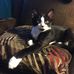 Diane Hess - Facebook
