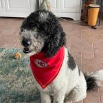 Diane Hess Blackford - @dglausblackford - Instagram