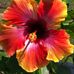 Dianne Hess - Facebook