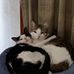 Diane Hoff - Facebook
