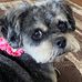 Diane Hoff - Facebook