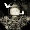 diannehoffman18 - @diannehoffman18 - TikTok