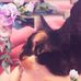 Dianne Horsfield - Facebook