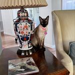 Dianne Hunter - @diannehunter67 - Instagram
