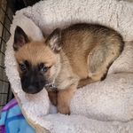 Dianne Hunter - @dianne4904 - Instagram