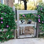Dianne Hunter - @diannehunter711 - Instagram