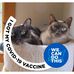 Dianne Hurst - Facebook