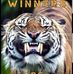 Dianne Hurst - Facebook