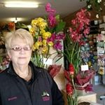 Dianne Hyde - @diannehyde - Instagram