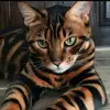 Dianne Jacques - @dij0829 - TikTok