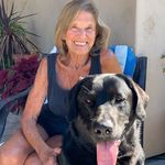 Diane Klein - @dianeklein - Instagram