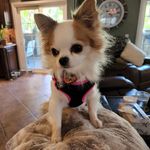 Dianne Kelley Klein - @diannek94 - Instagram